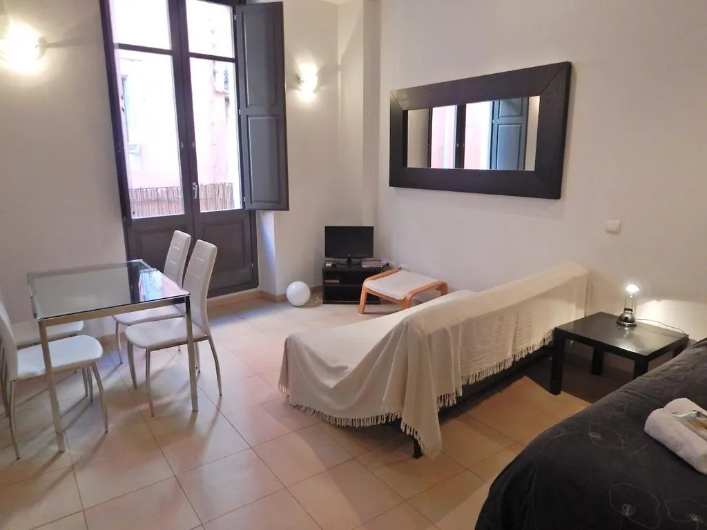 Gran Estudio Barri Vell Gerona 0*,